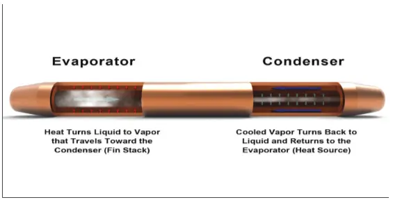 ft3-figure1