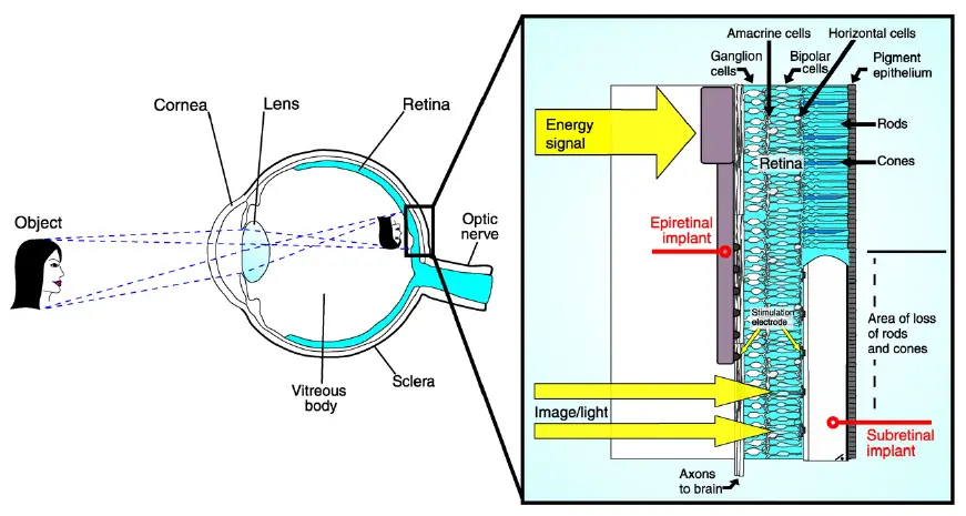 moreeyestuff